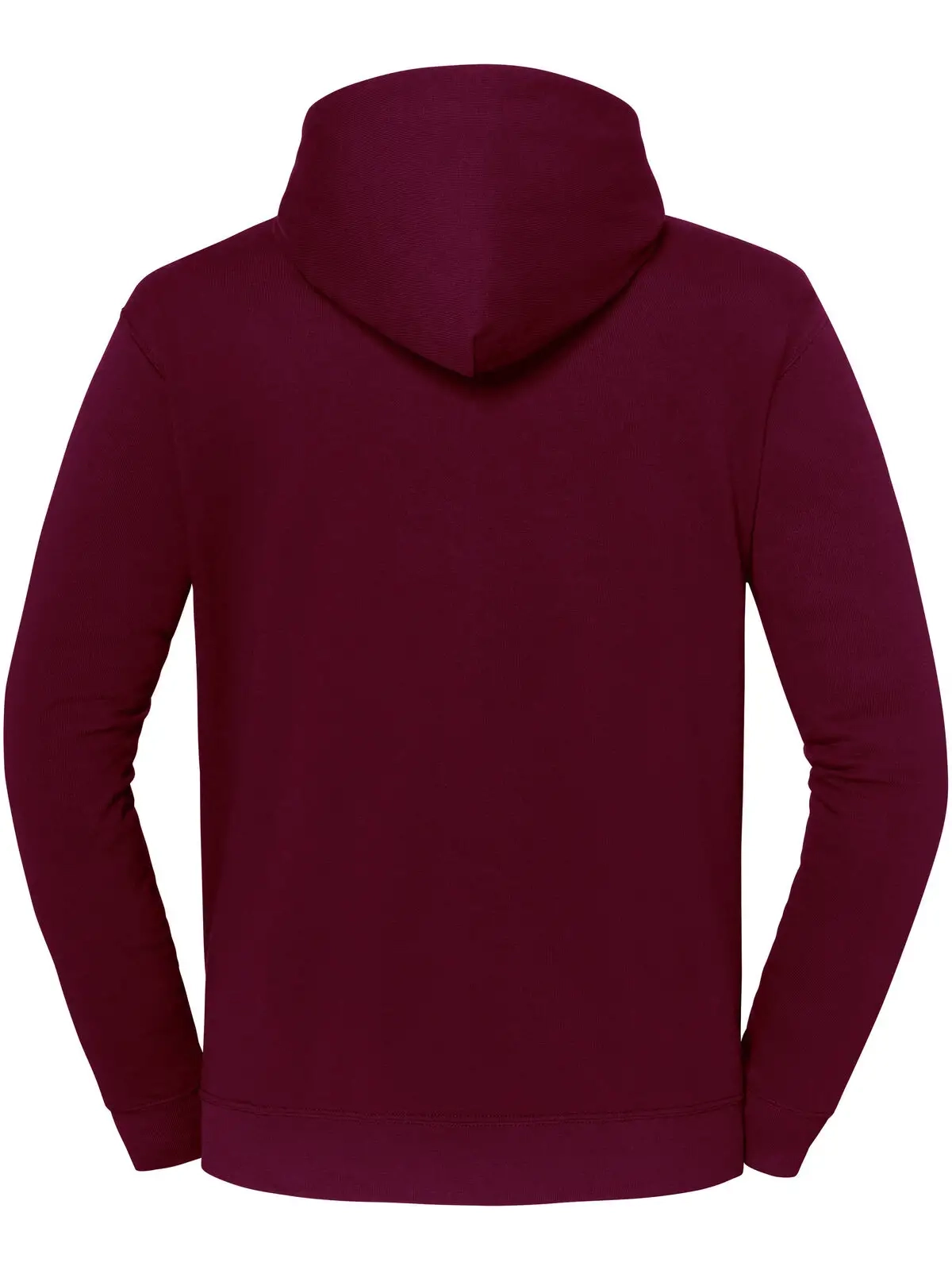 Immagine Iconic 250 Hooded Sweat