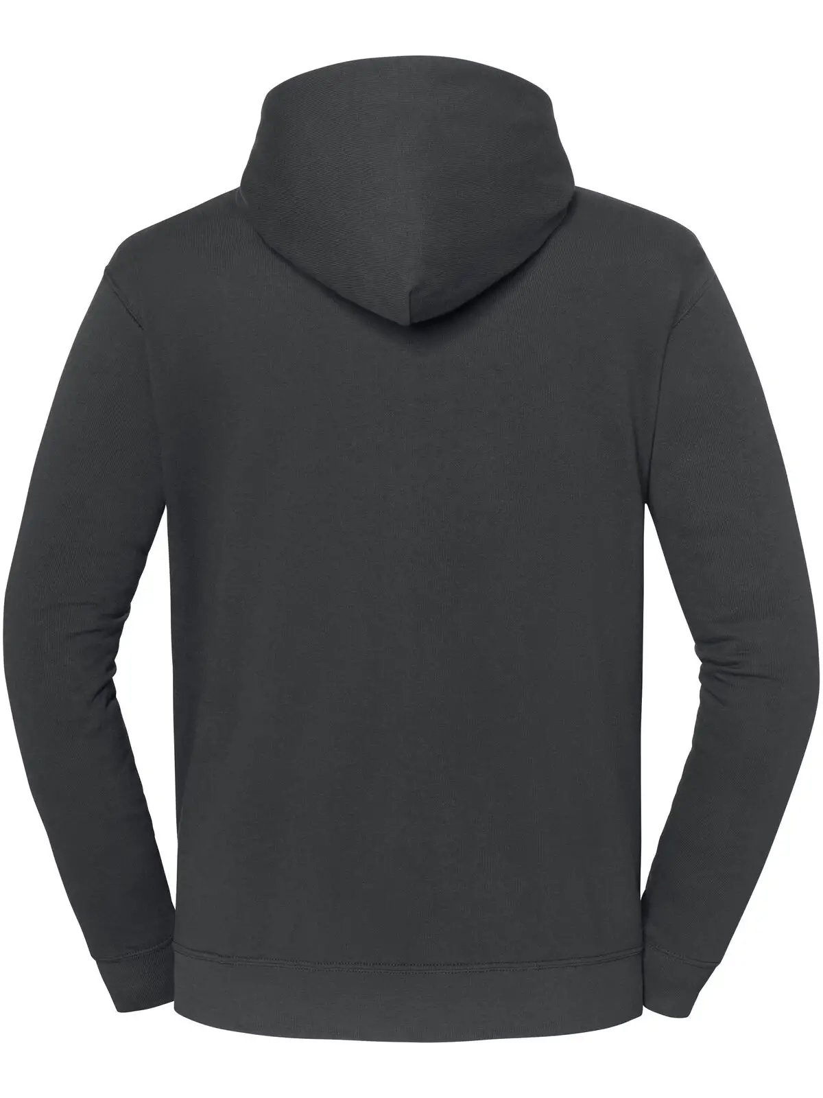 Immagine Iconic 250 Hooded Sweat