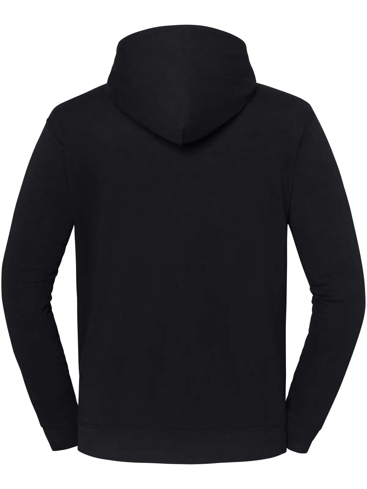 Immagine Iconic 250 Hooded Sweat
