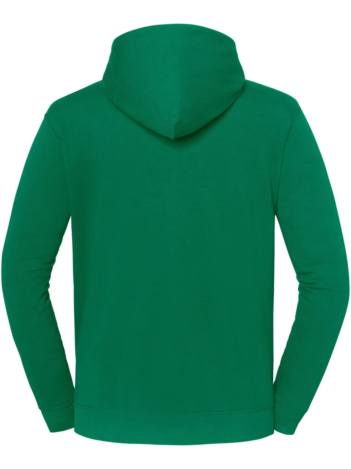 Immagine Iconic 250 Hooded Sweat