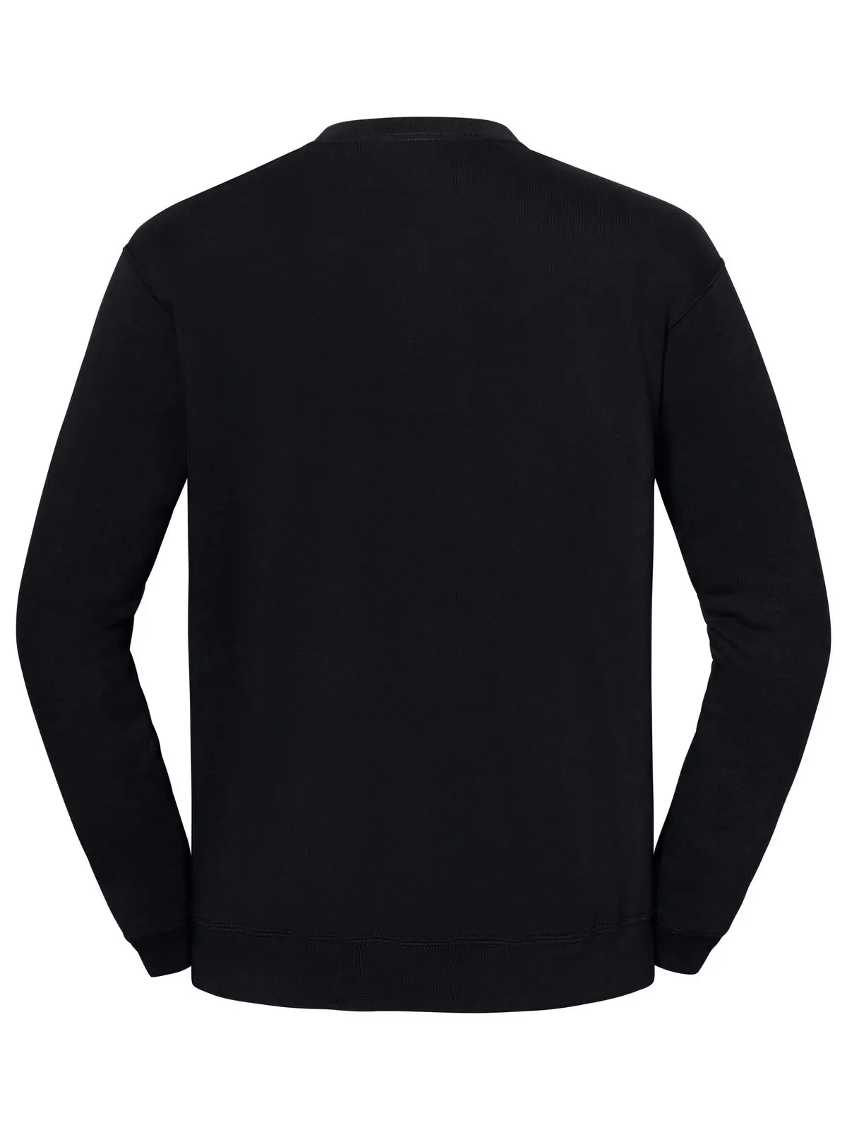 Immagine Iconic 250 Set-In Sweat