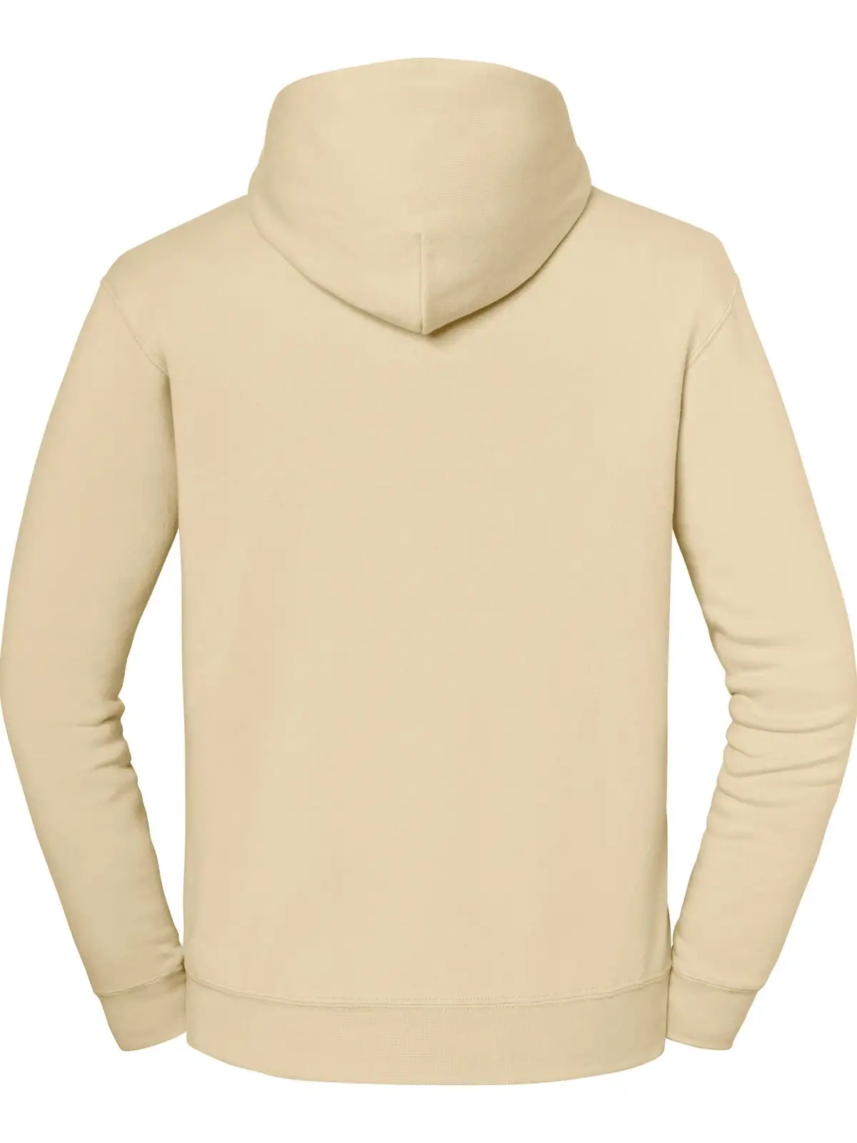 Immagine Iconic Premium Hooded Sweat