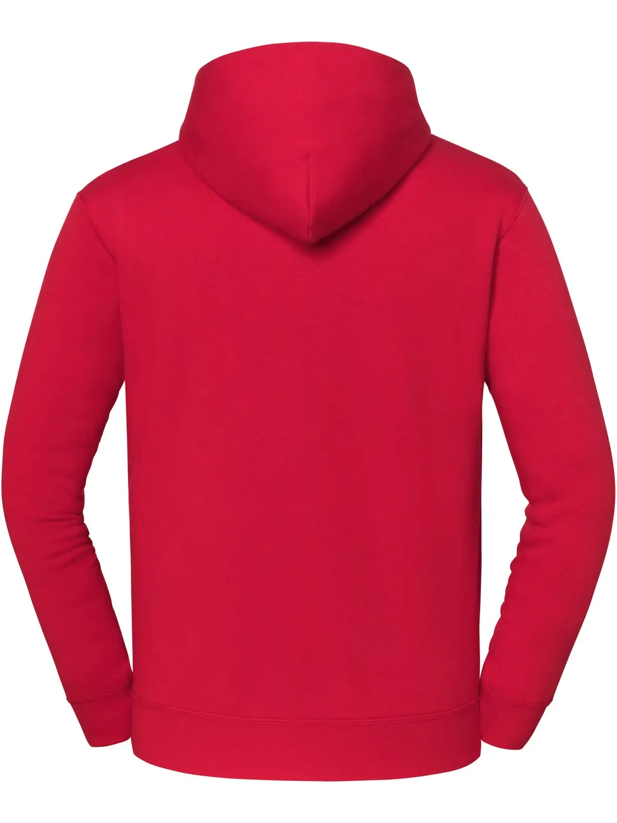 Immagine Iconic Premium Hooded Sweat