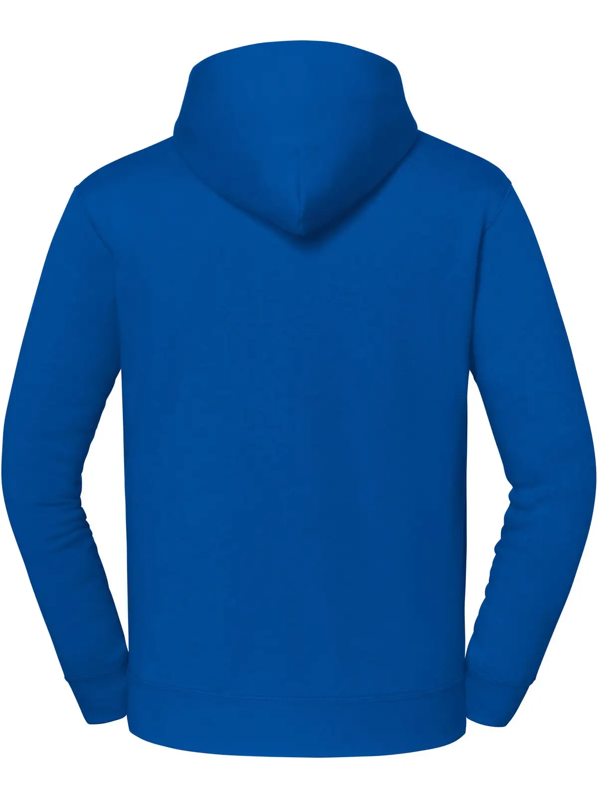 Immagine Iconic Premium Hooded Sweat