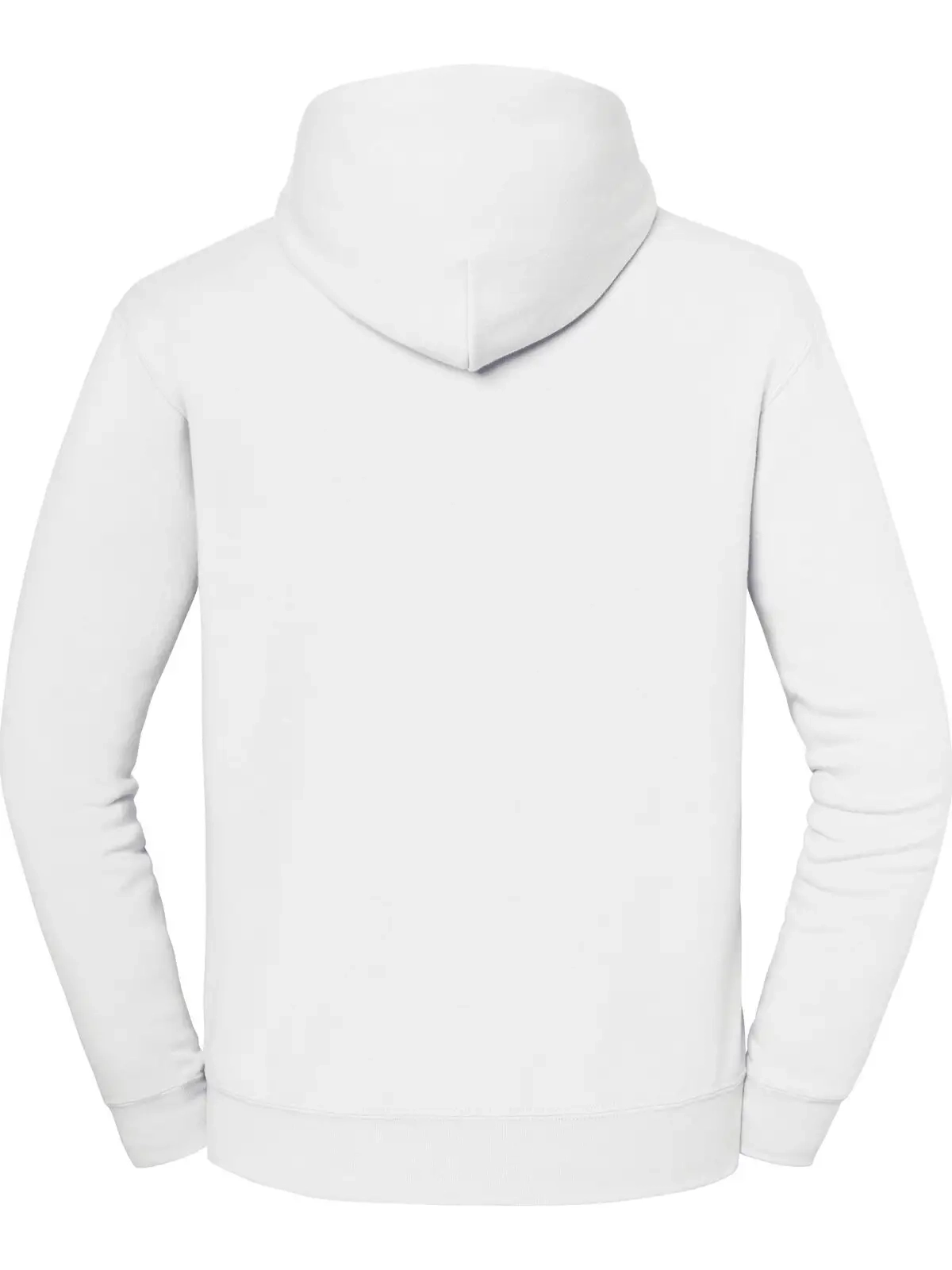 Immagine Iconic Premium Hooded Sweat