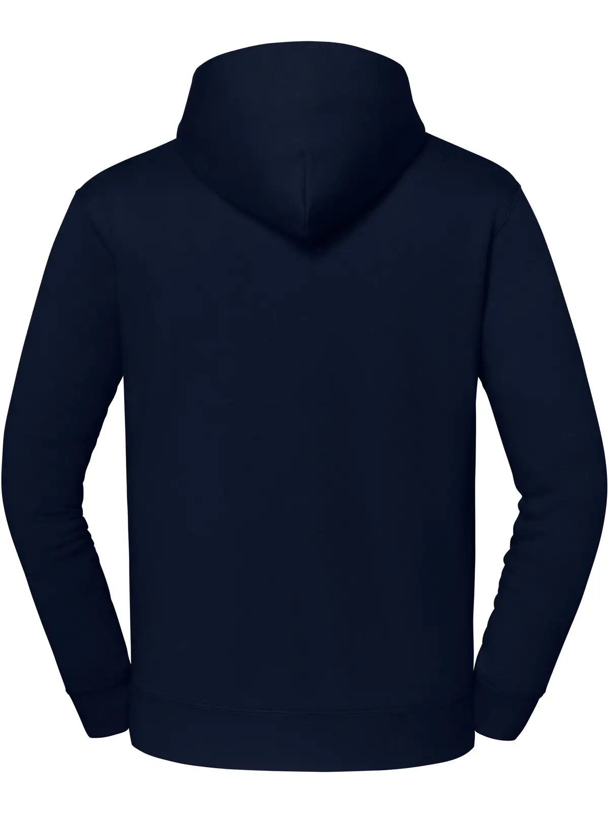Immagine Iconic Premium Hooded Sweat