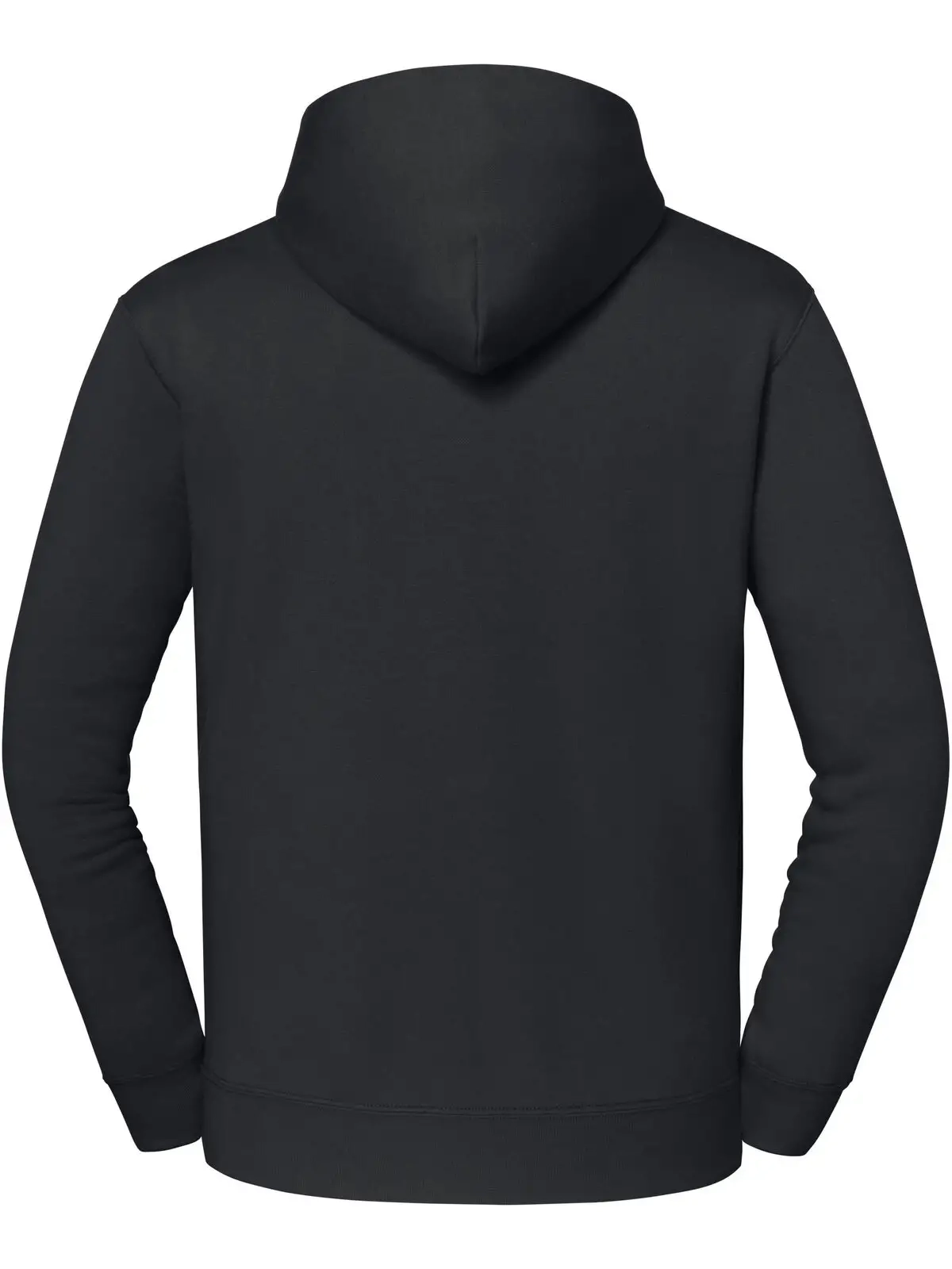 Immagine Iconic Premium Hooded Sweat