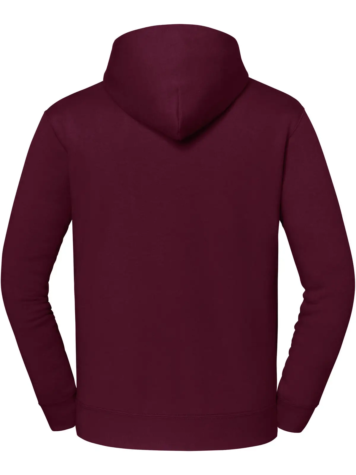 Immagine Iconic Premium Hooded Sweat