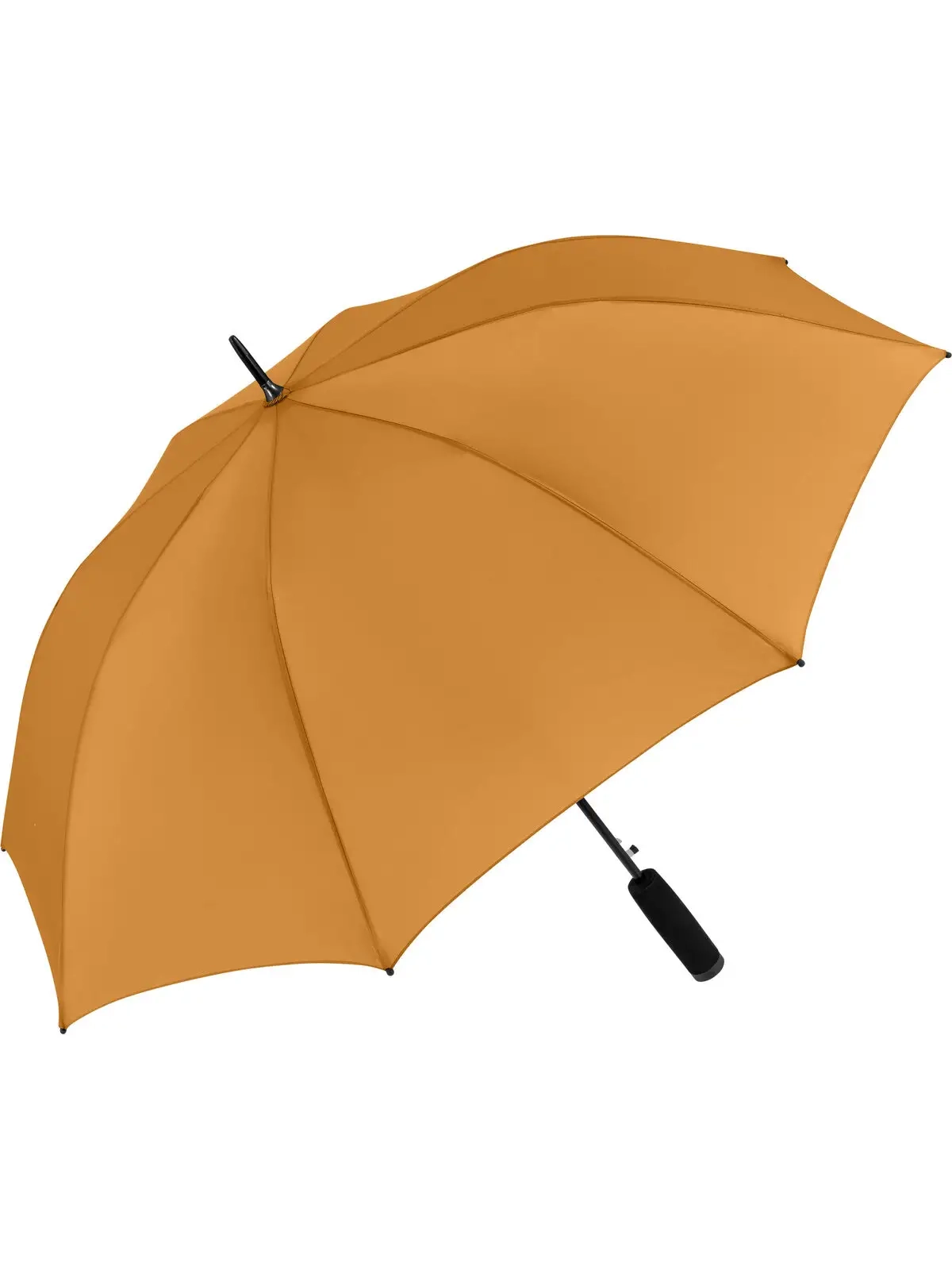Immagine AC stick umbrella