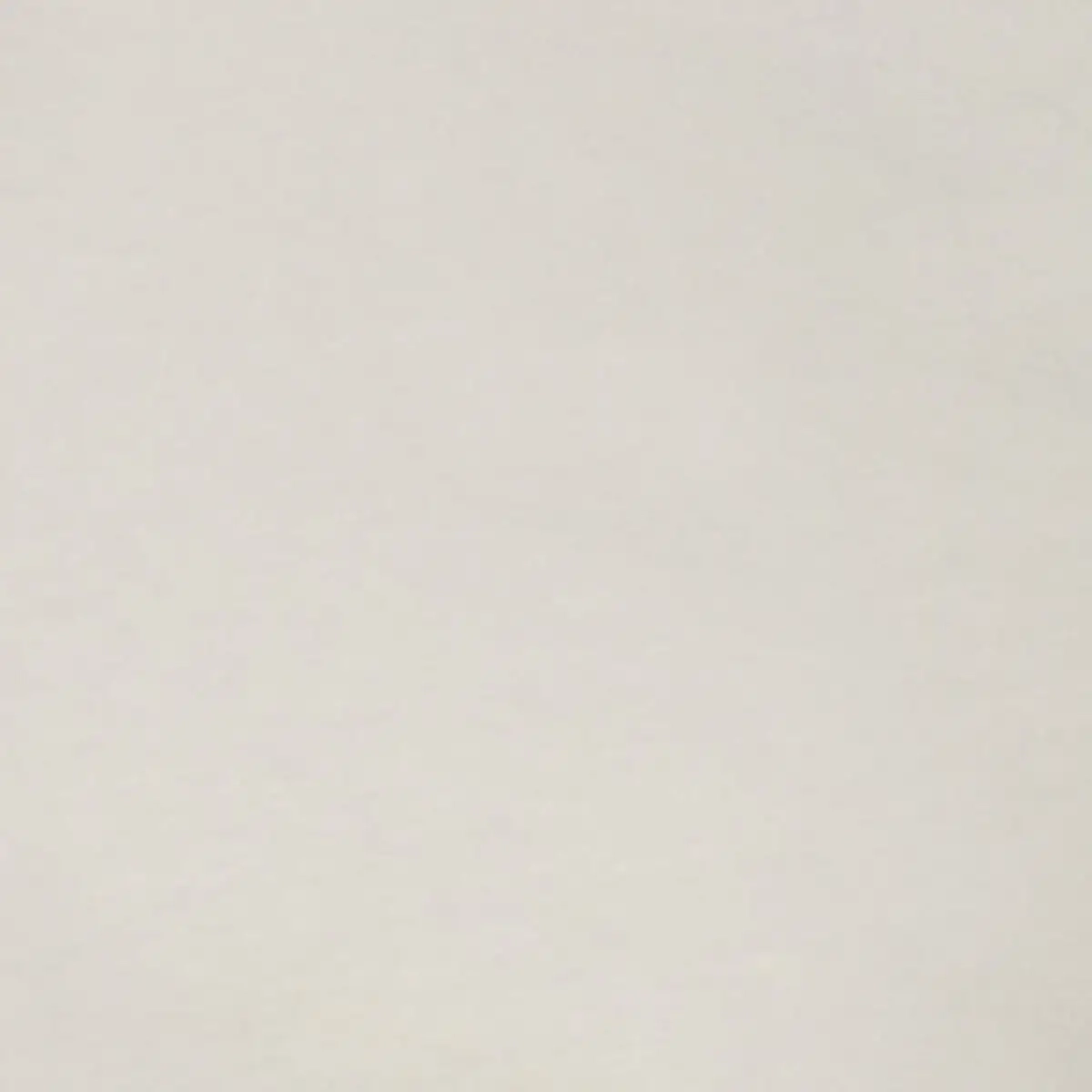 Immagine Women's heavyweight washed cropped tee