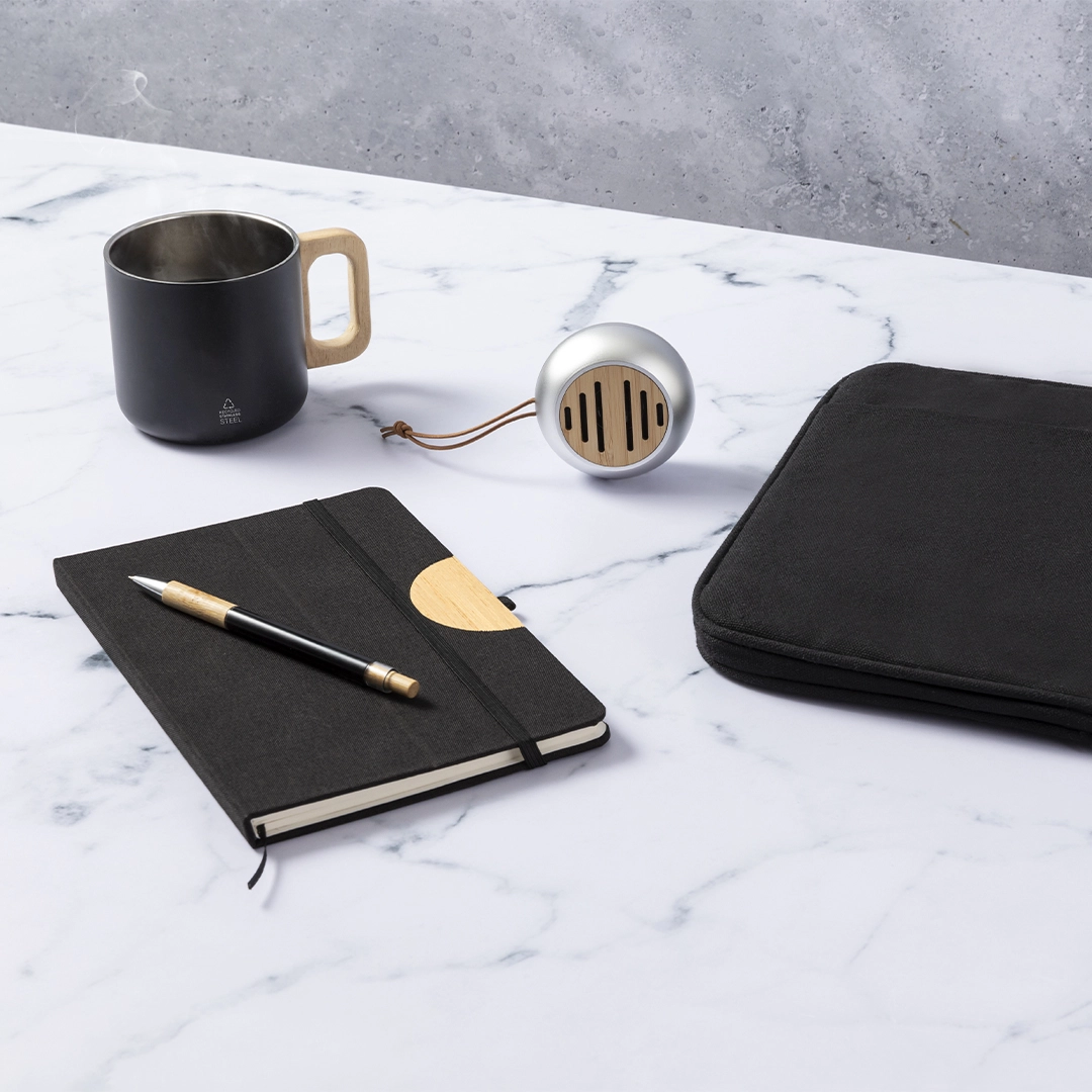 Immagine Cassa Hiwent