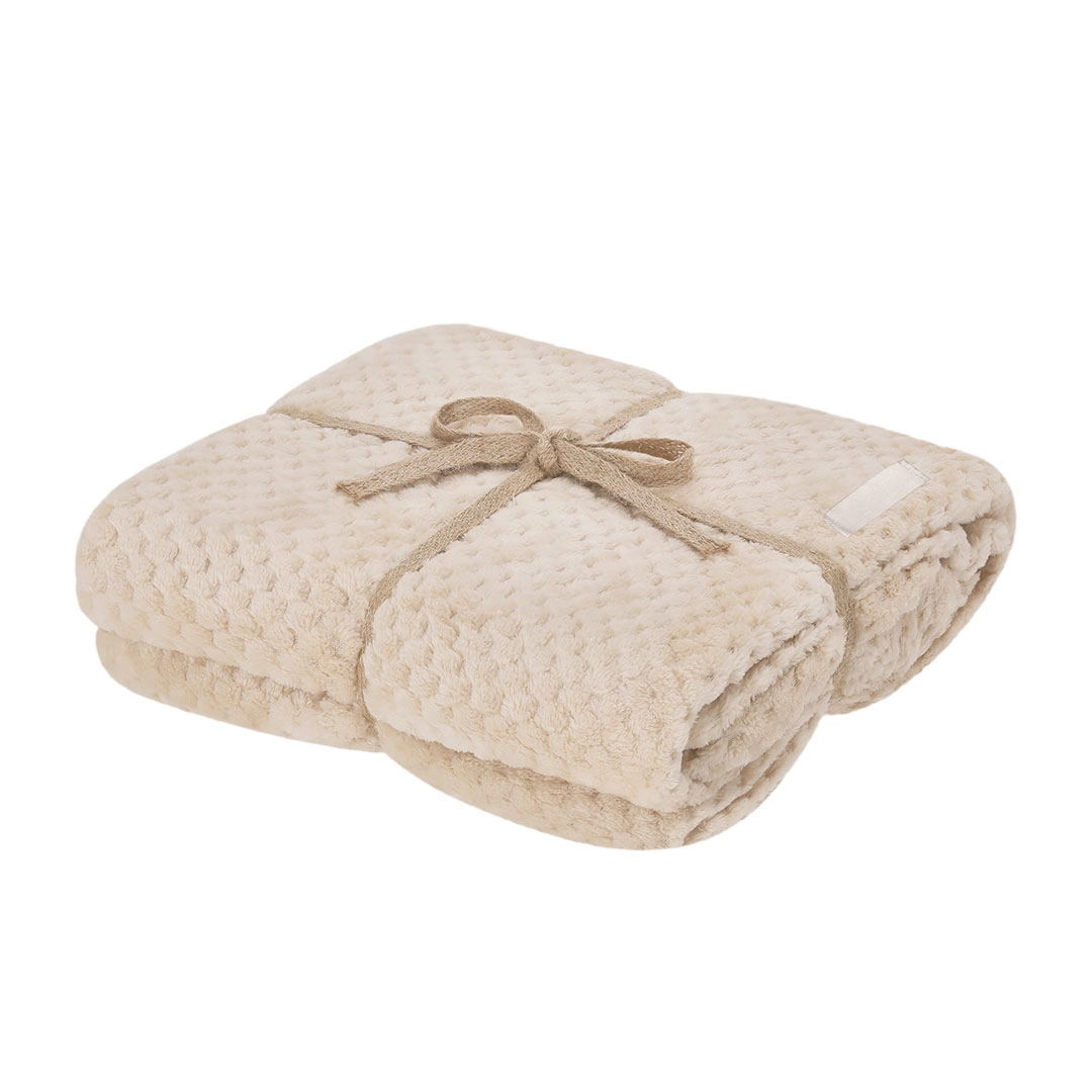 Immagine Coperta Iridian