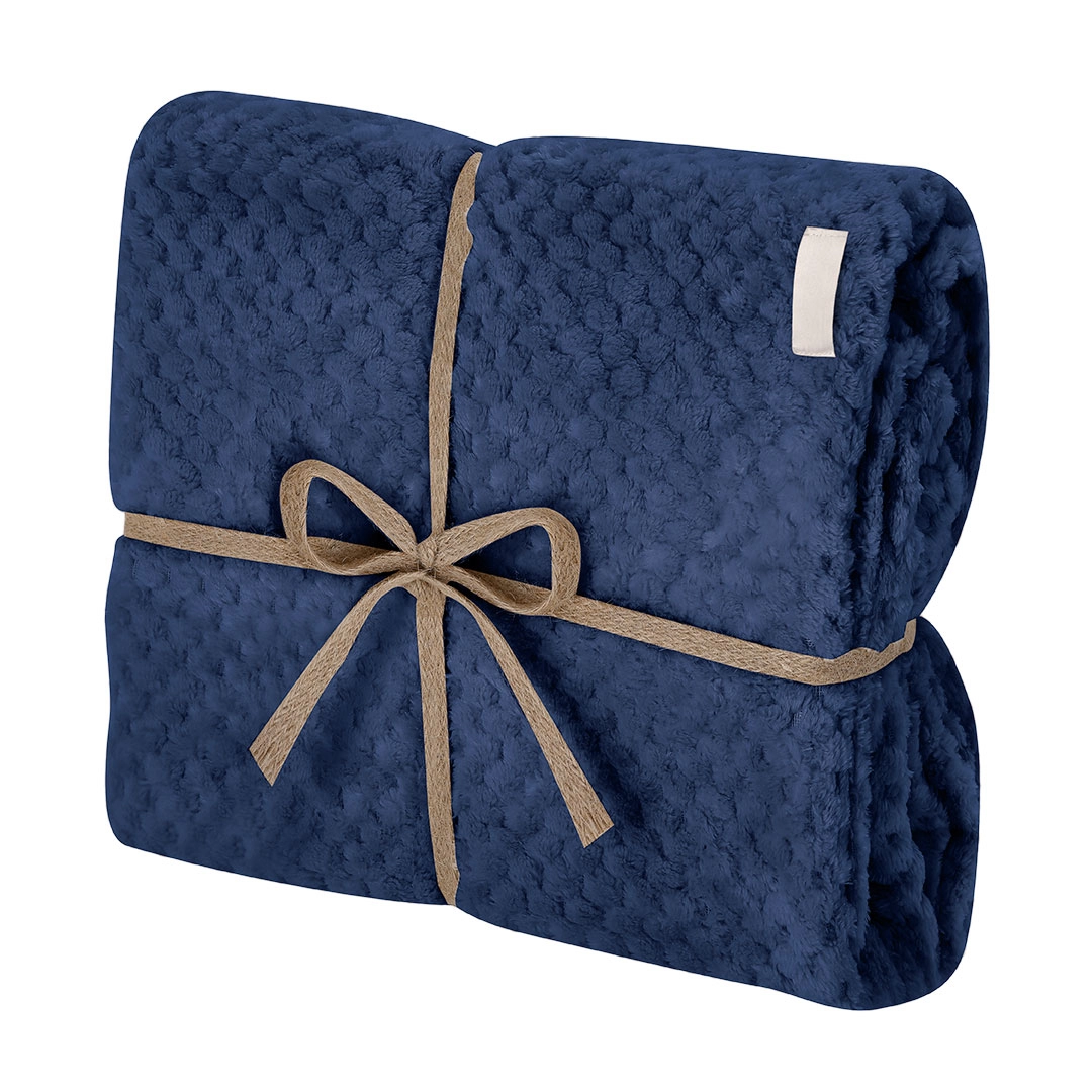 Immagine Coperta Iridian