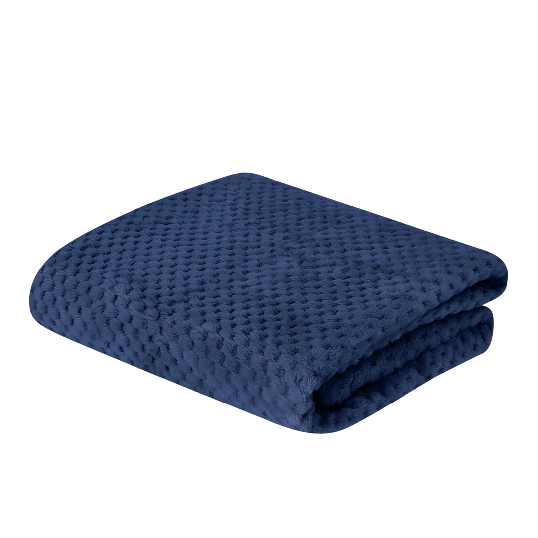 Immagine Coperta Iridian