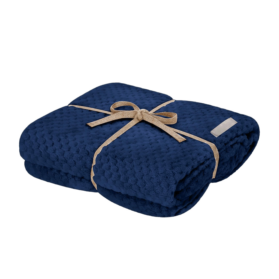 Immagine Coperta Iridian