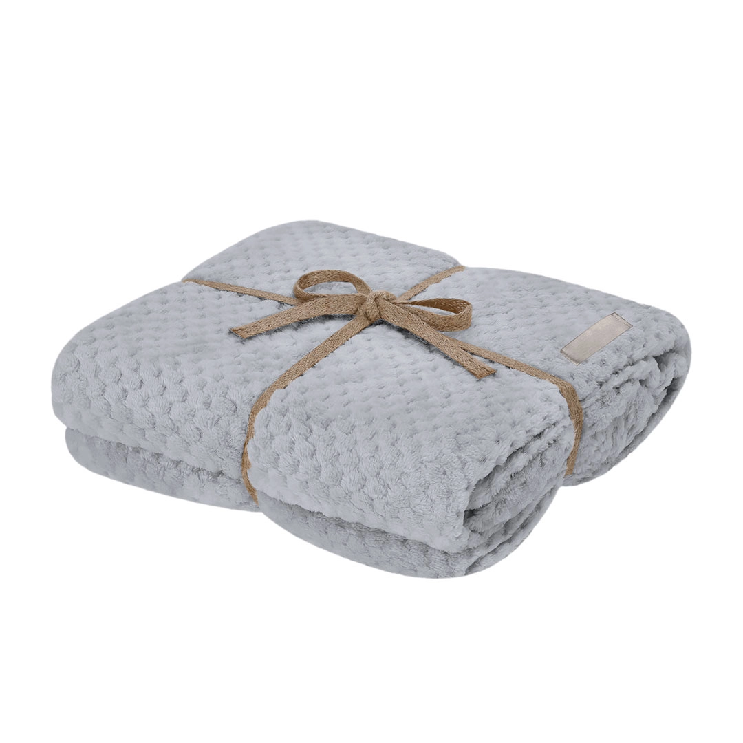 Immagine Coperta Iridian