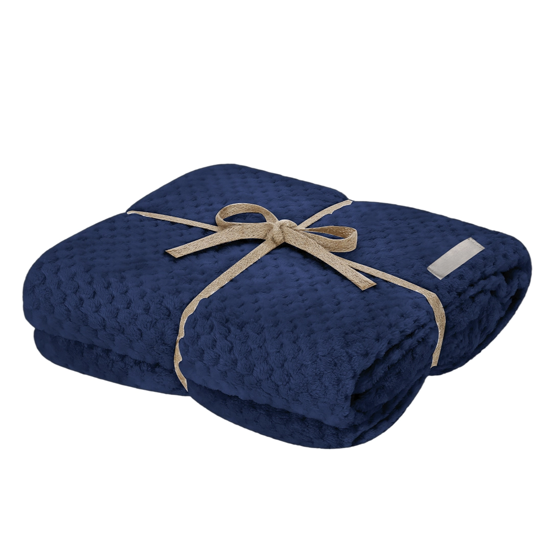 Immagine Coperta Iridian