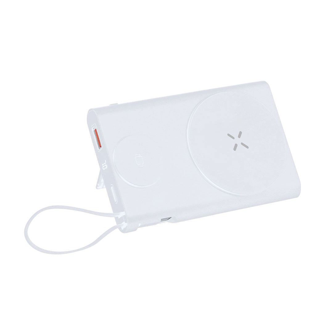 Immagine Power Bank Barian