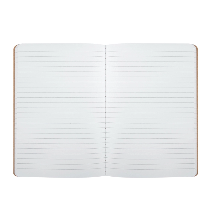 Immagine Notes a righe