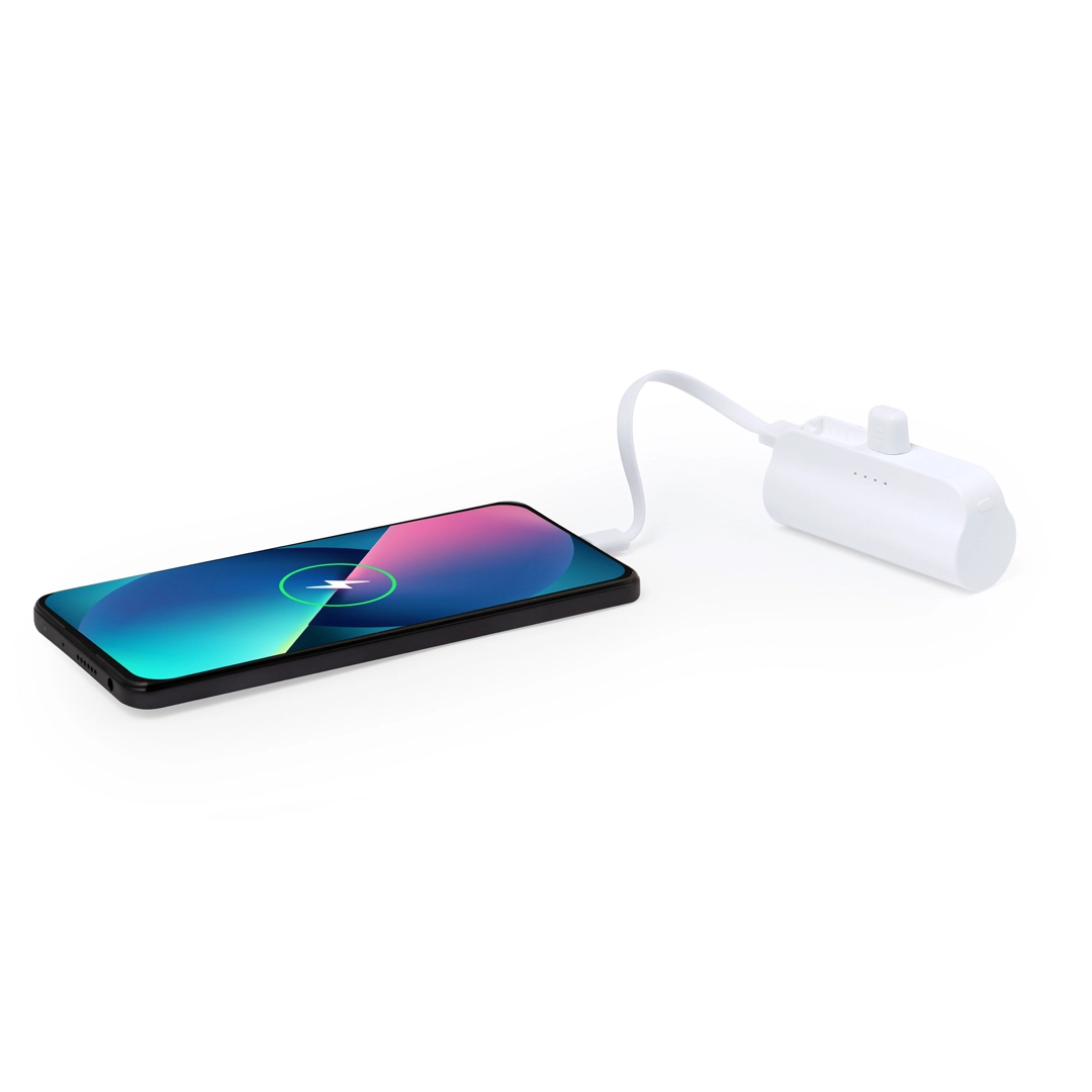 Immagine Power Bank Laford