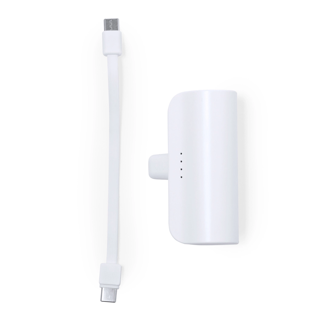 Immagine Power Bank Laford