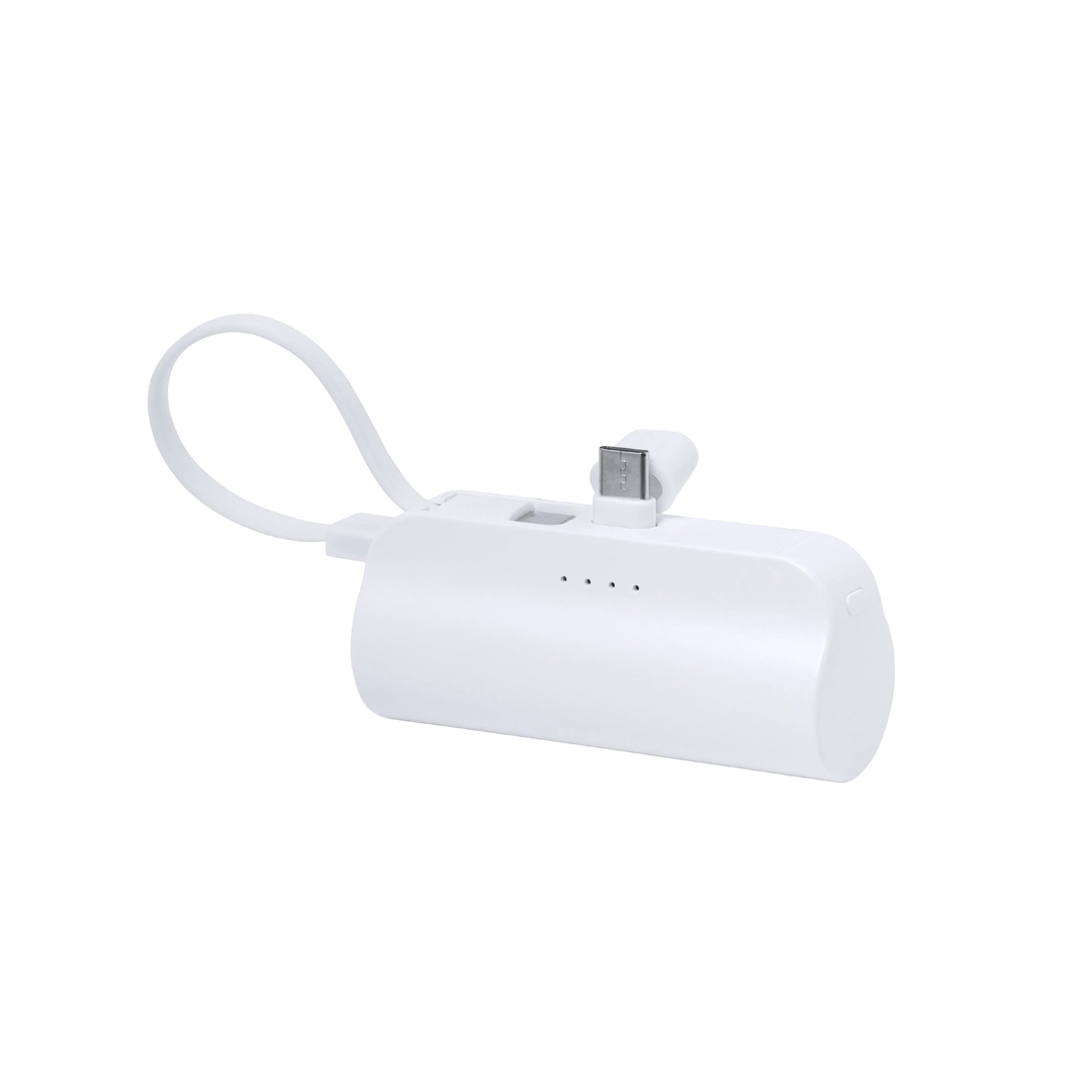 Immagine Power Bank Laford