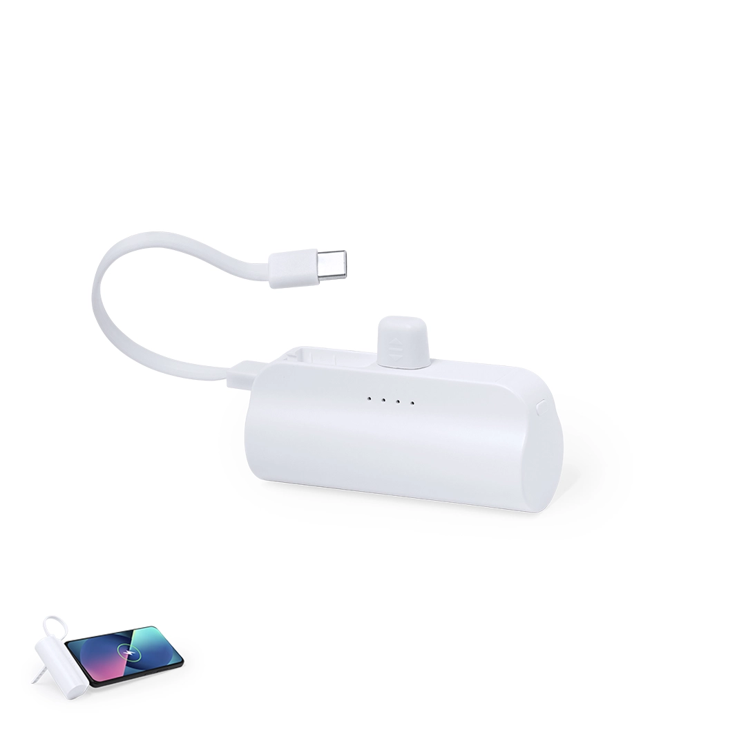 Immagine Power Bank Laford