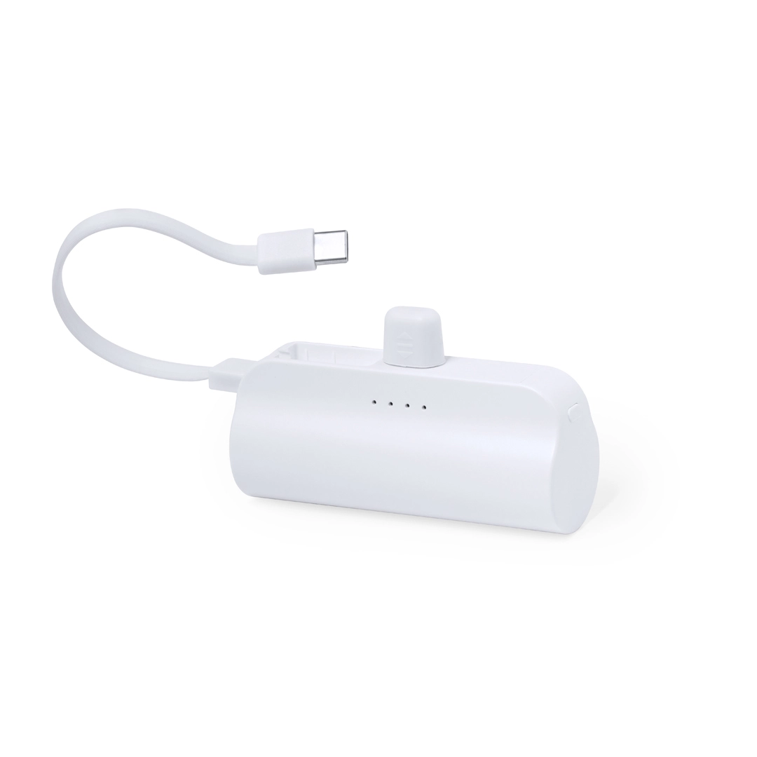 Immagine Power Bank Laford