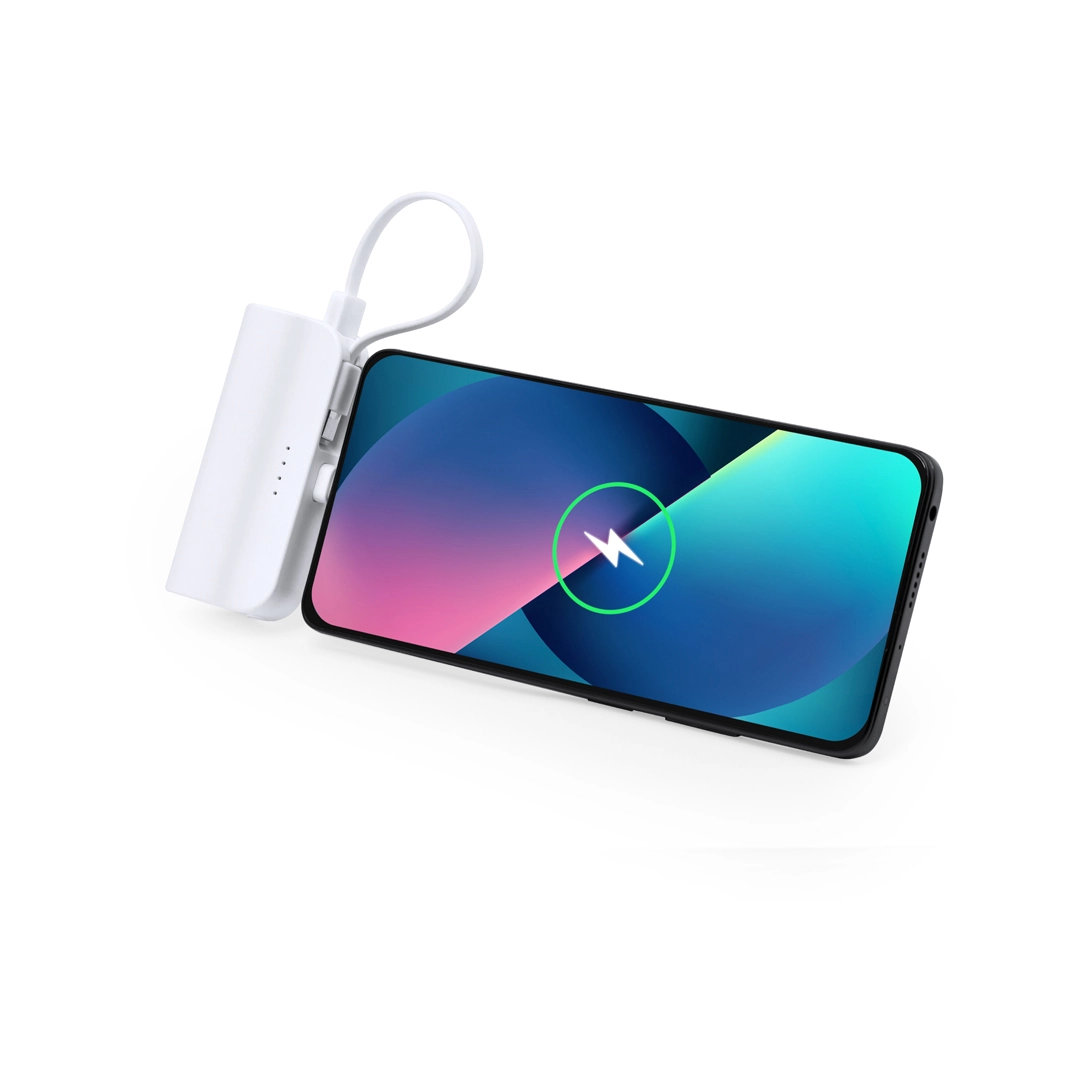 Immagine Power Bank Laford