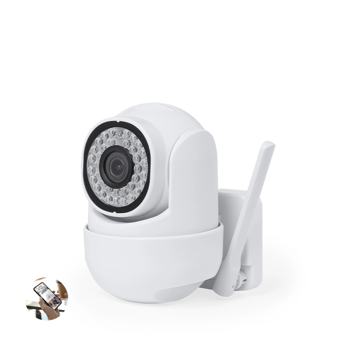 Immagine Telecamera Inteligente Grotex