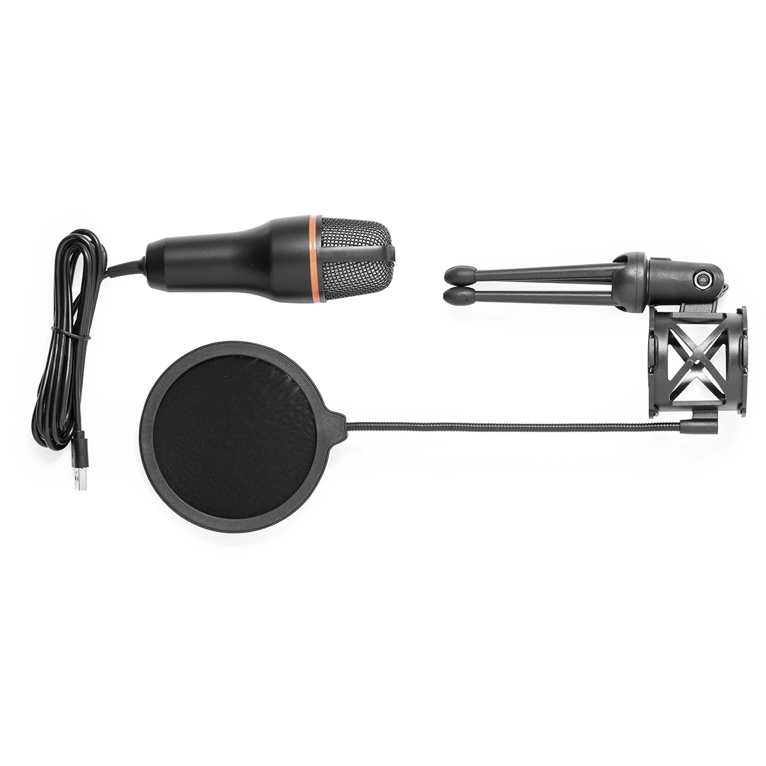 Immagine Microfono a Condensatore Densha