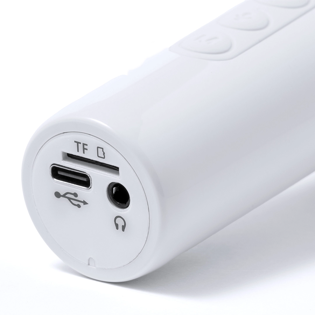 Immagine Cassa Microfono Sinfonyx