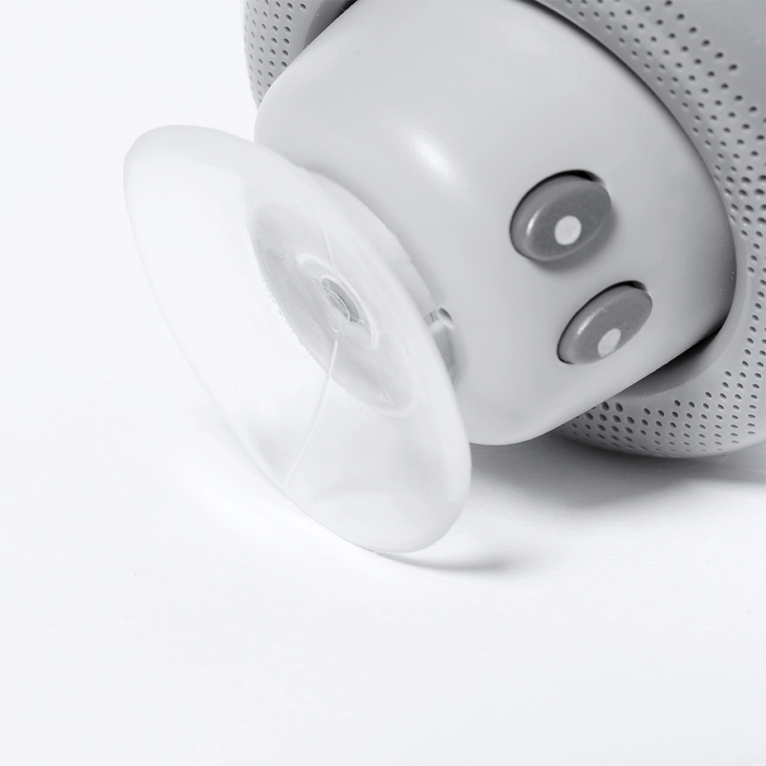 Immagine Cassa Heston