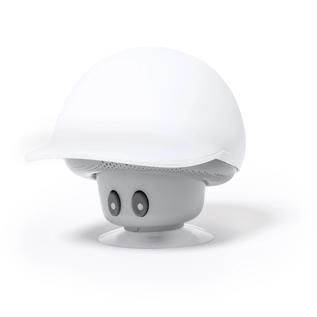 Immagine Cassa Heston