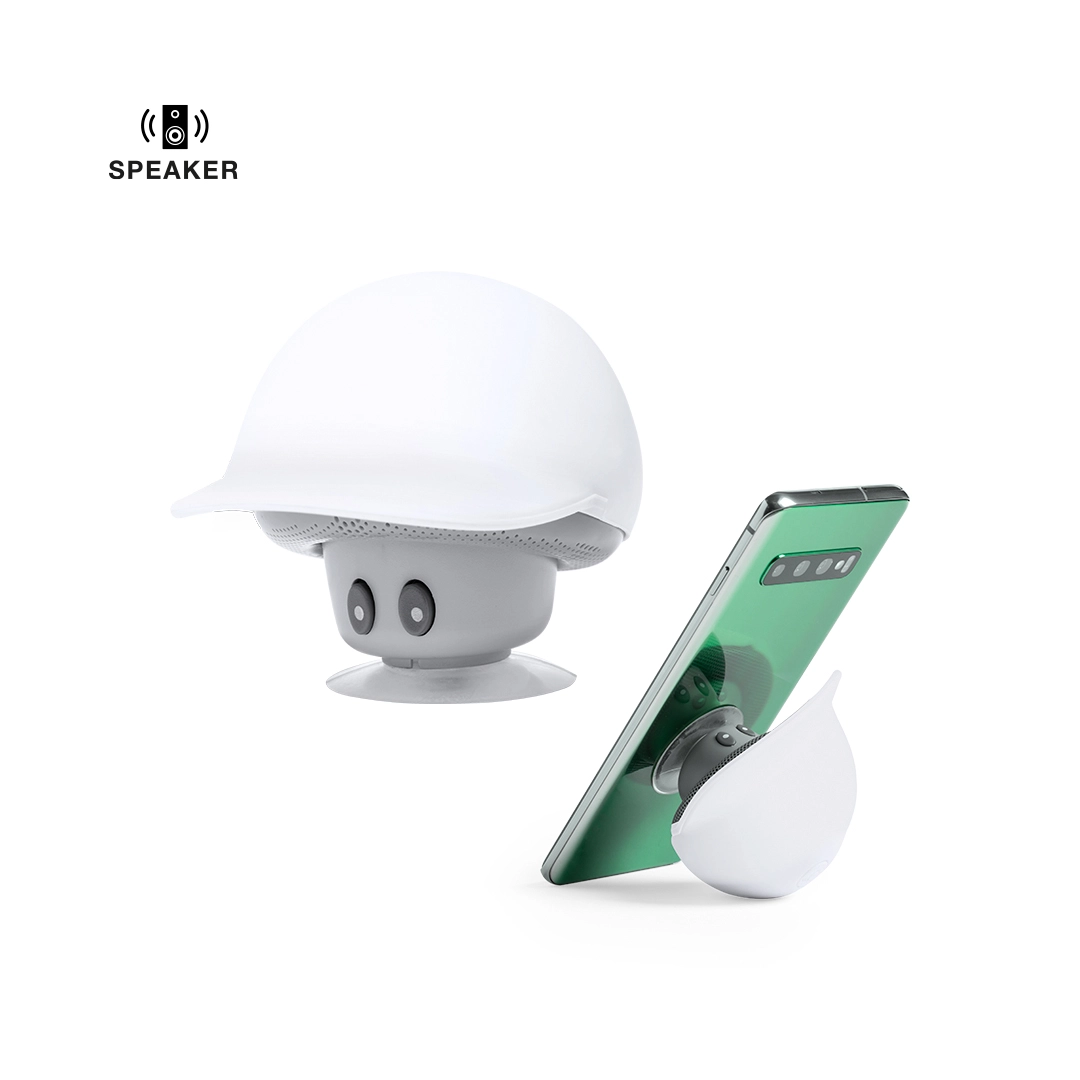 Immagine Cassa Heston