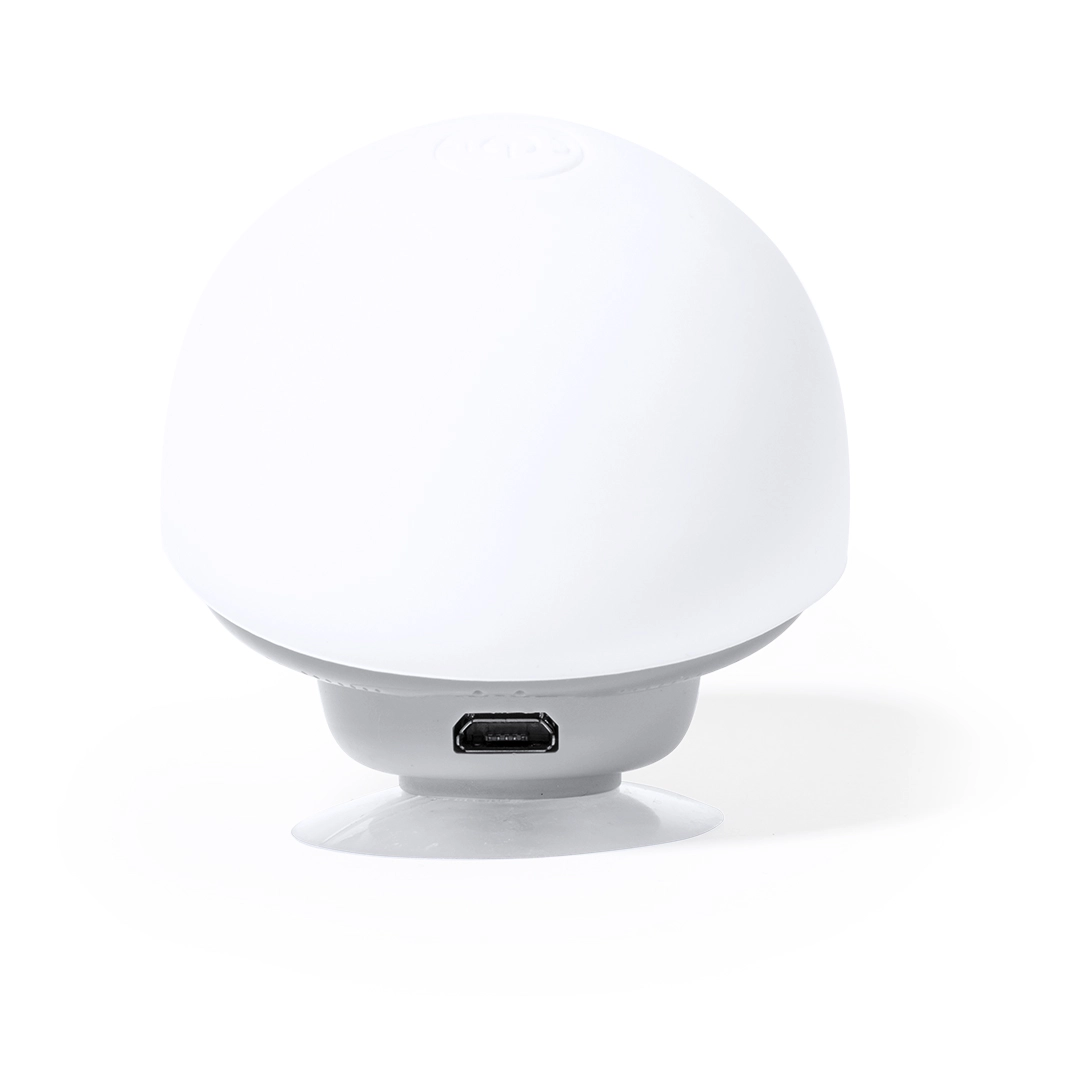 Immagine Cassa Heston