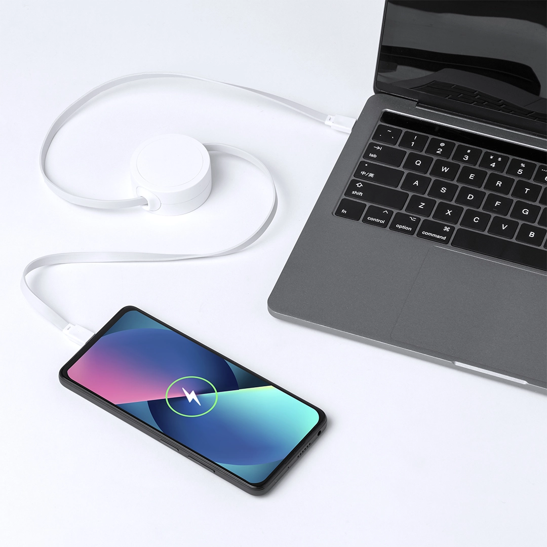 Immagine Cavo Caricatore Zapa RCS