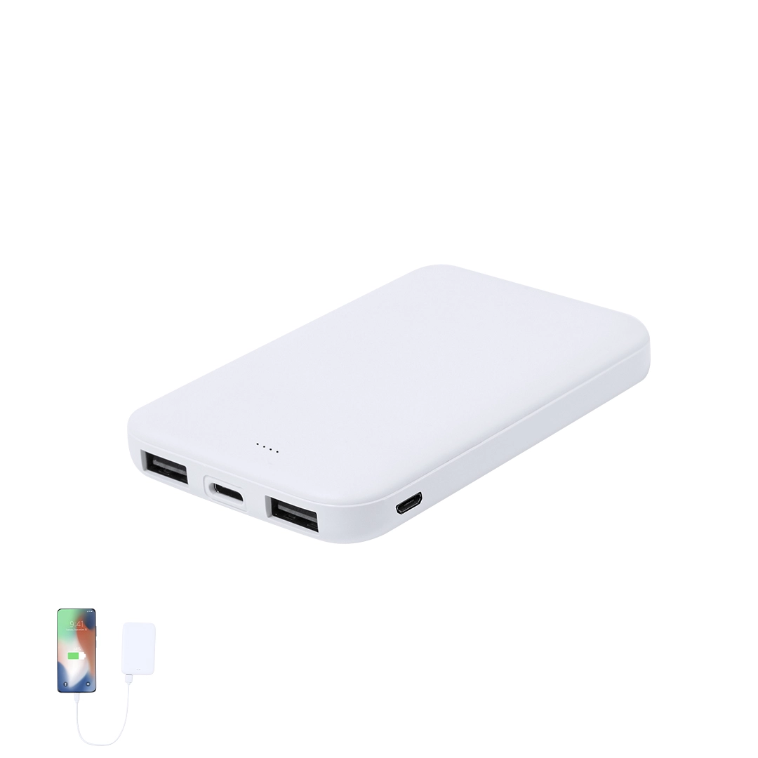 Immagine Power Bank Nawey RCS