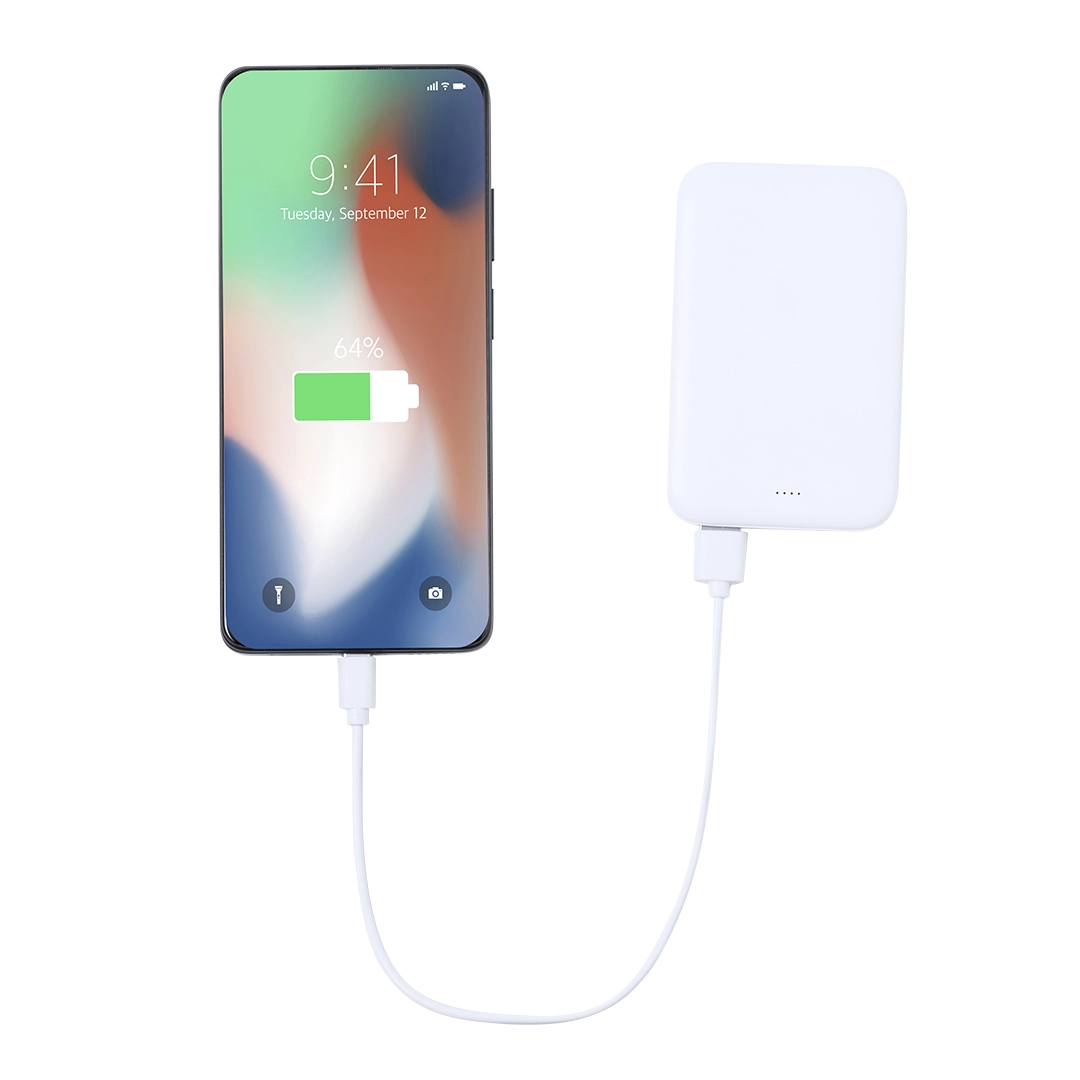 Immagine Power Bank Nawey RCS