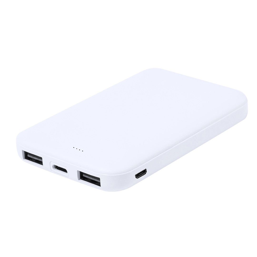 Immagine Power Bank Nawey RCS