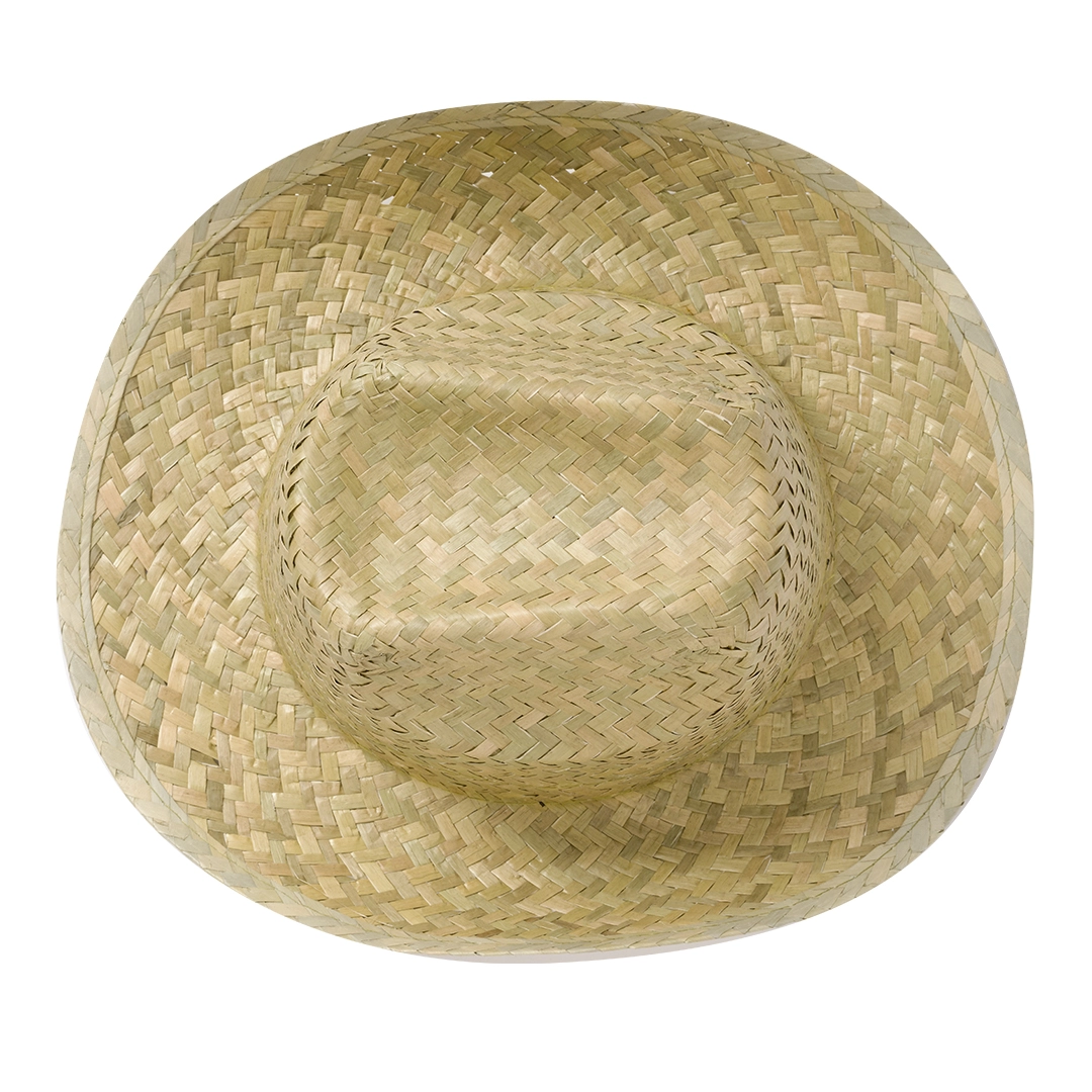 Immagine Sombrero Leone