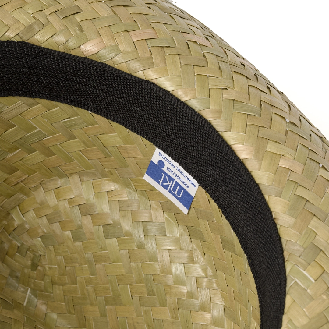 Immagine Sombrero Leone