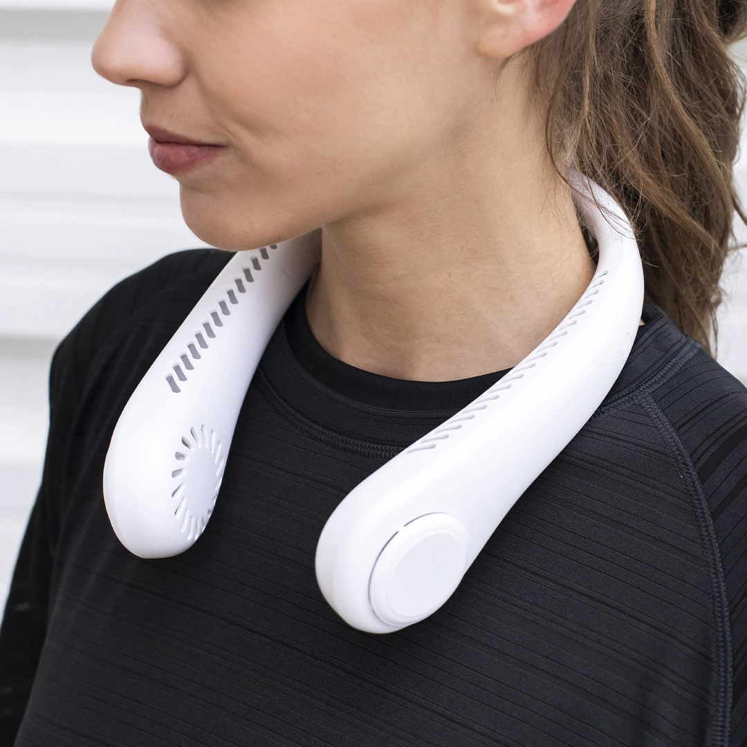 Immagine Ventilatore Sherman