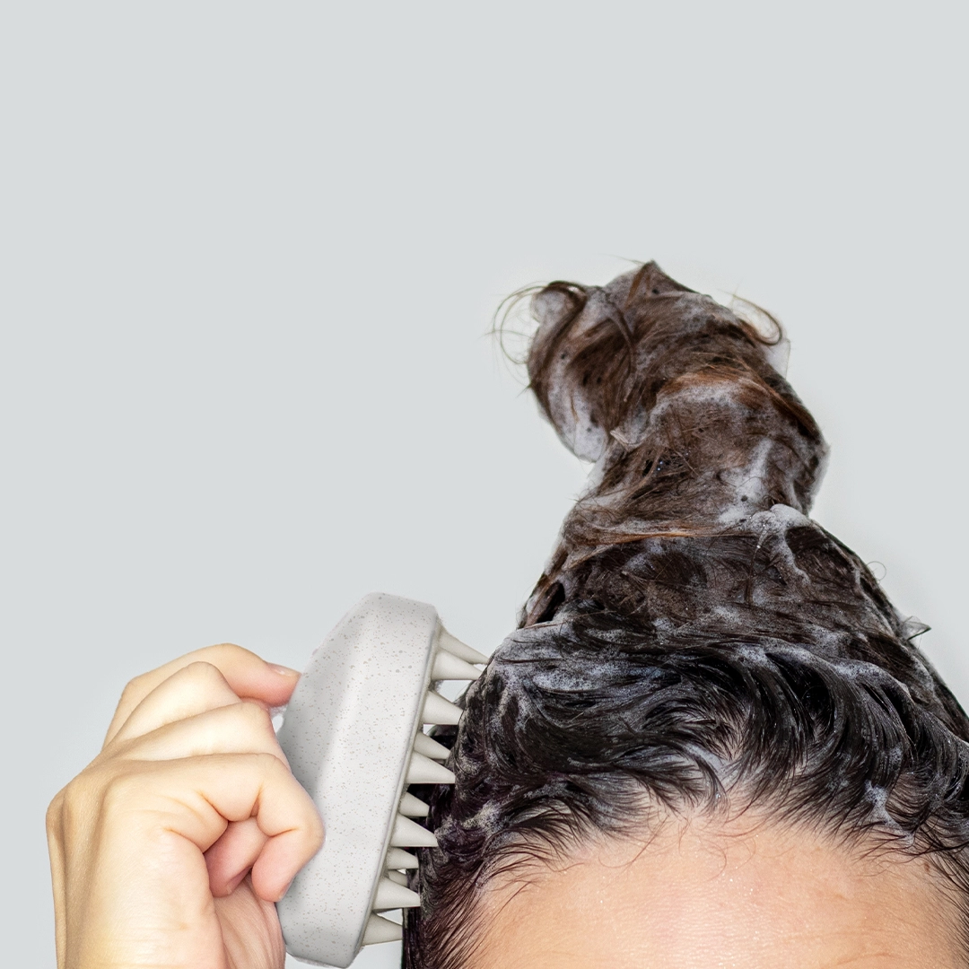 Immagine Emulsionatore Nocote