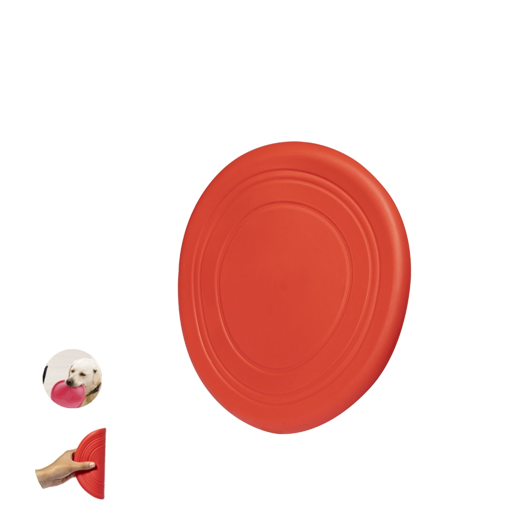 Immagine Frisbee Girud