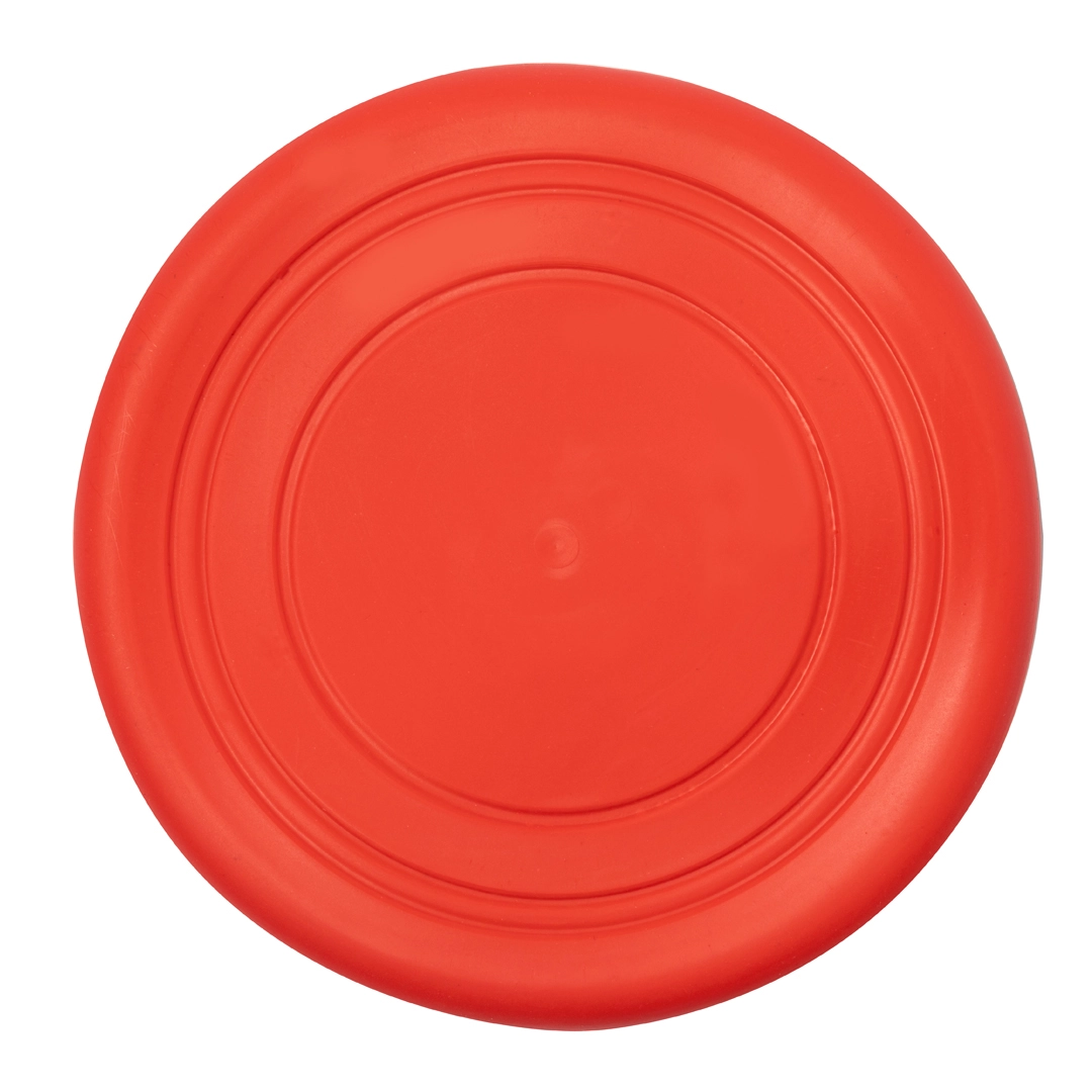 Immagine Frisbee Girud