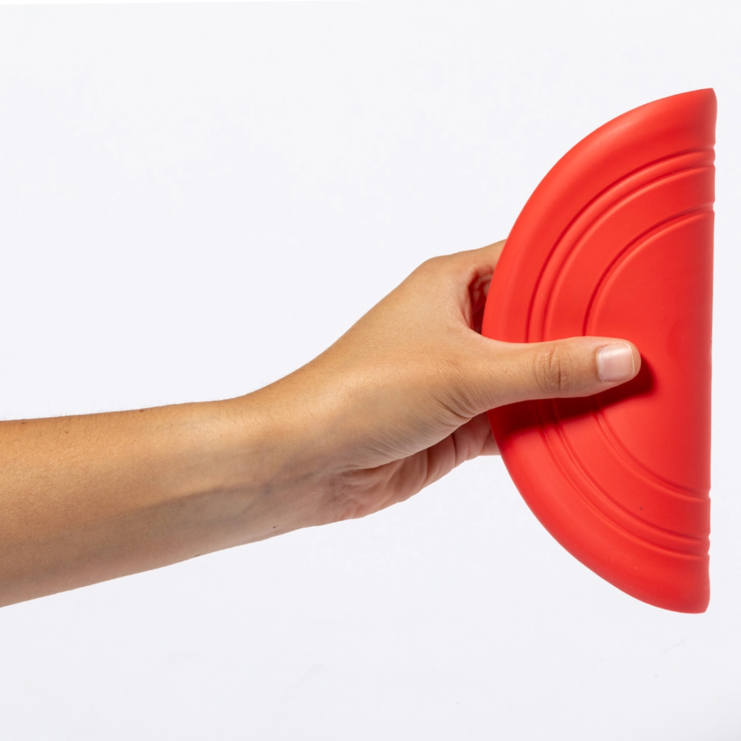 Immagine Frisbee Girud