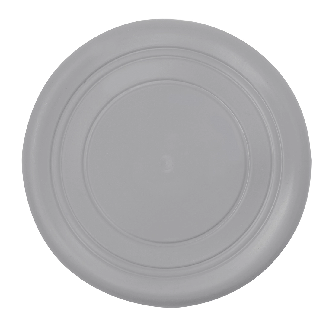 Immagine Frisbee Girud