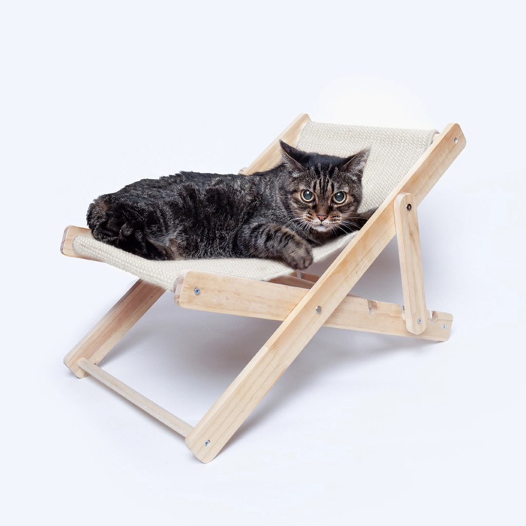 Immagine Sedia per Animali Diny