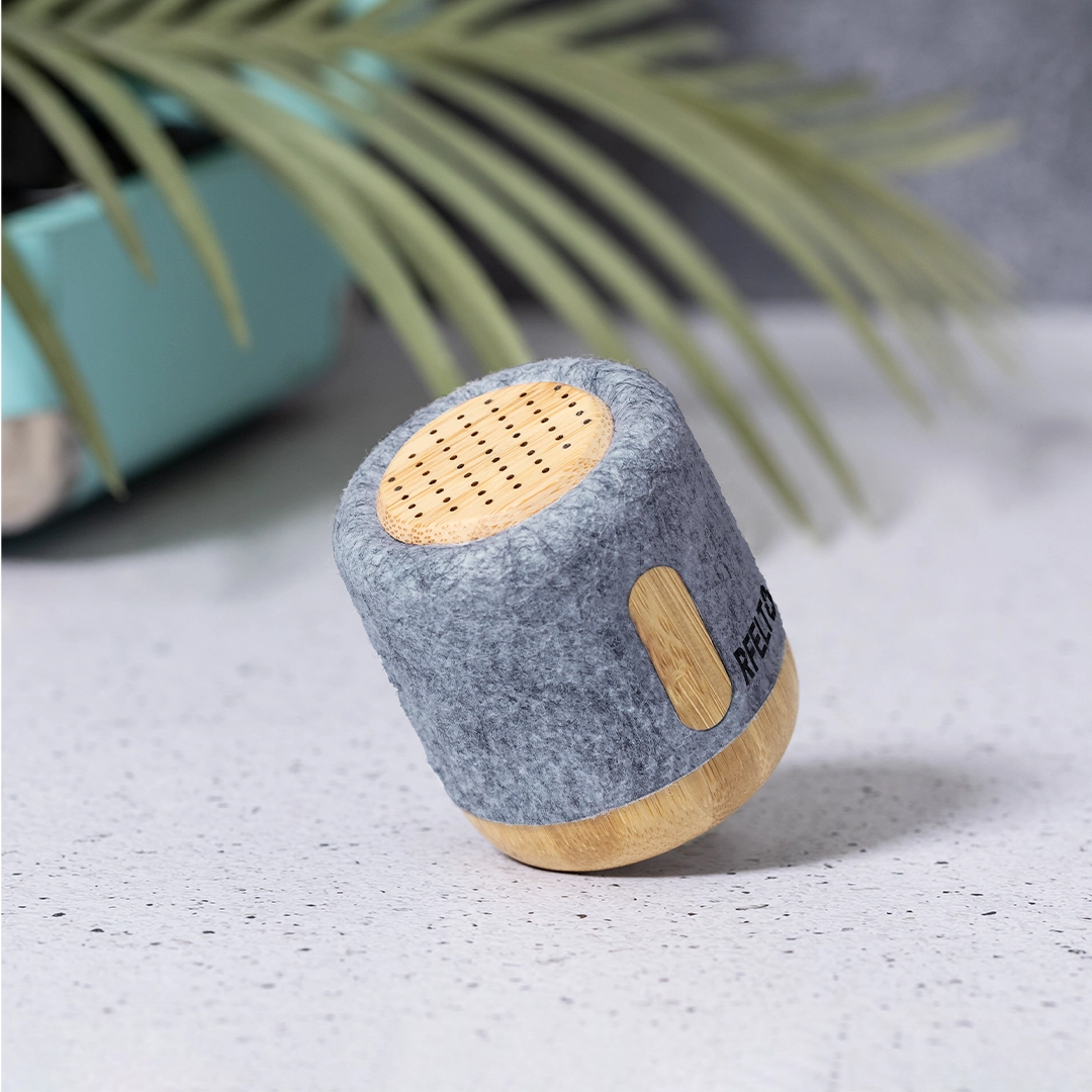 Immagine Cassa Boitok